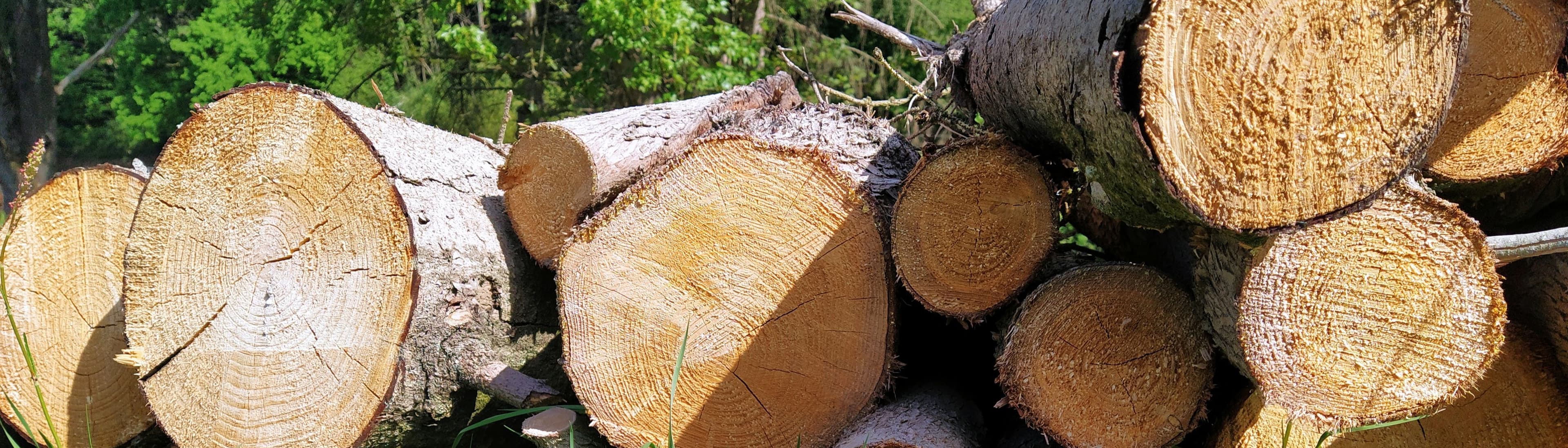 Technische Hochschule Ostwestfalen-Lippe