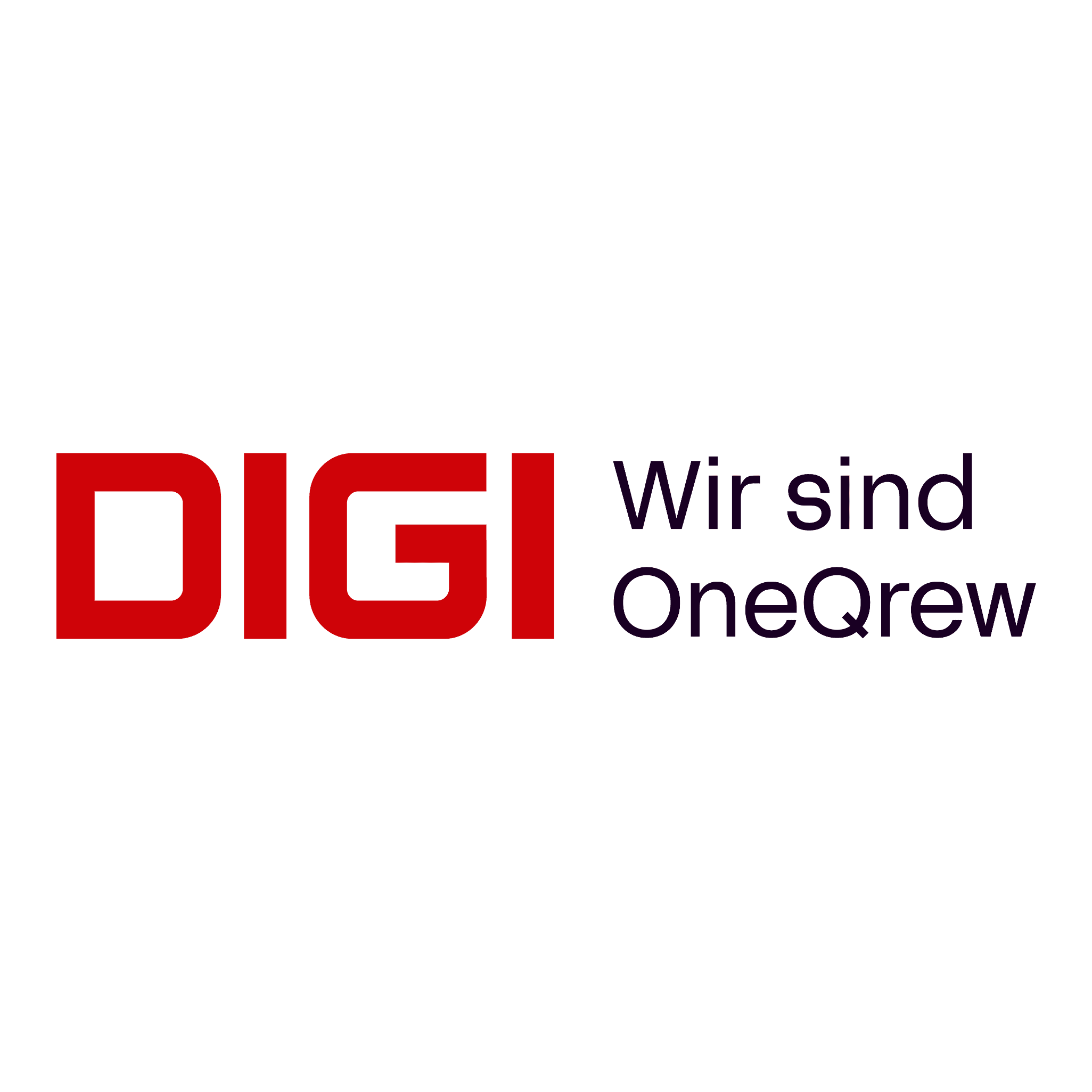 DIGI-SOFTWARE GmbH logo