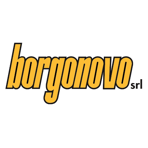 Renzo Borgonovo Srl logo