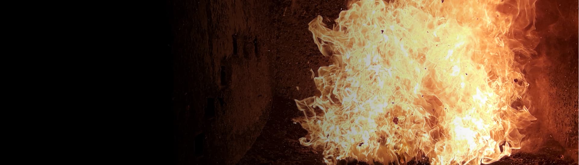 Endress Holzfeuerungsanlagen