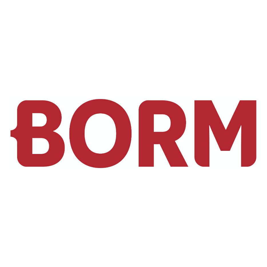 BORM-INFORMATIK GmbH logo