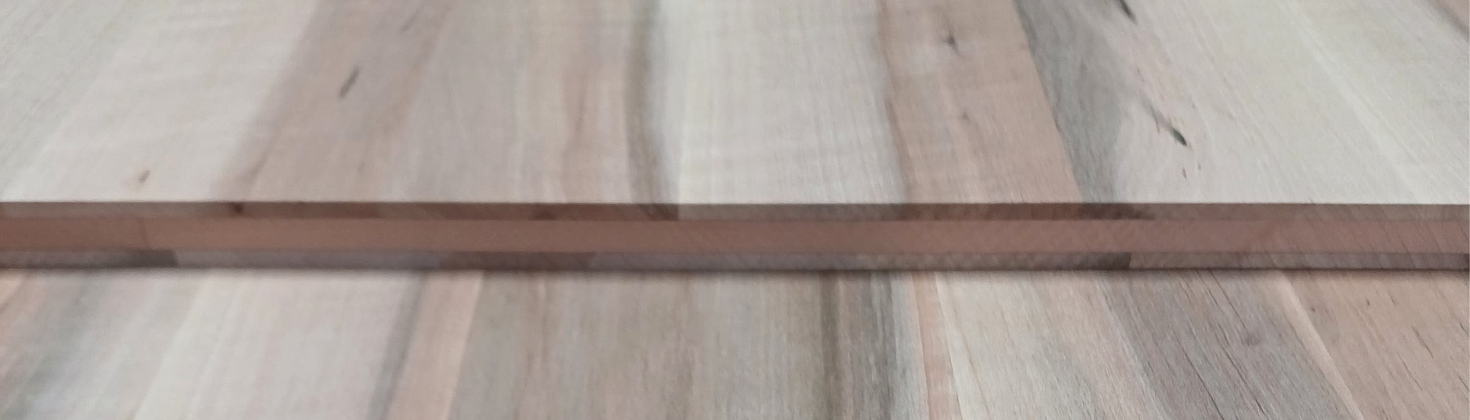 Wittmann HolzverarbeitungsGmbH