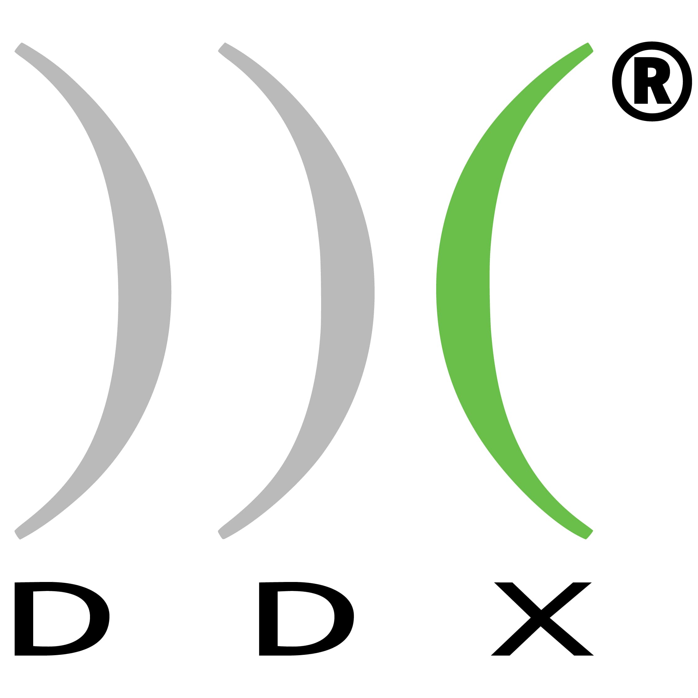 DDX S.r.l. logo