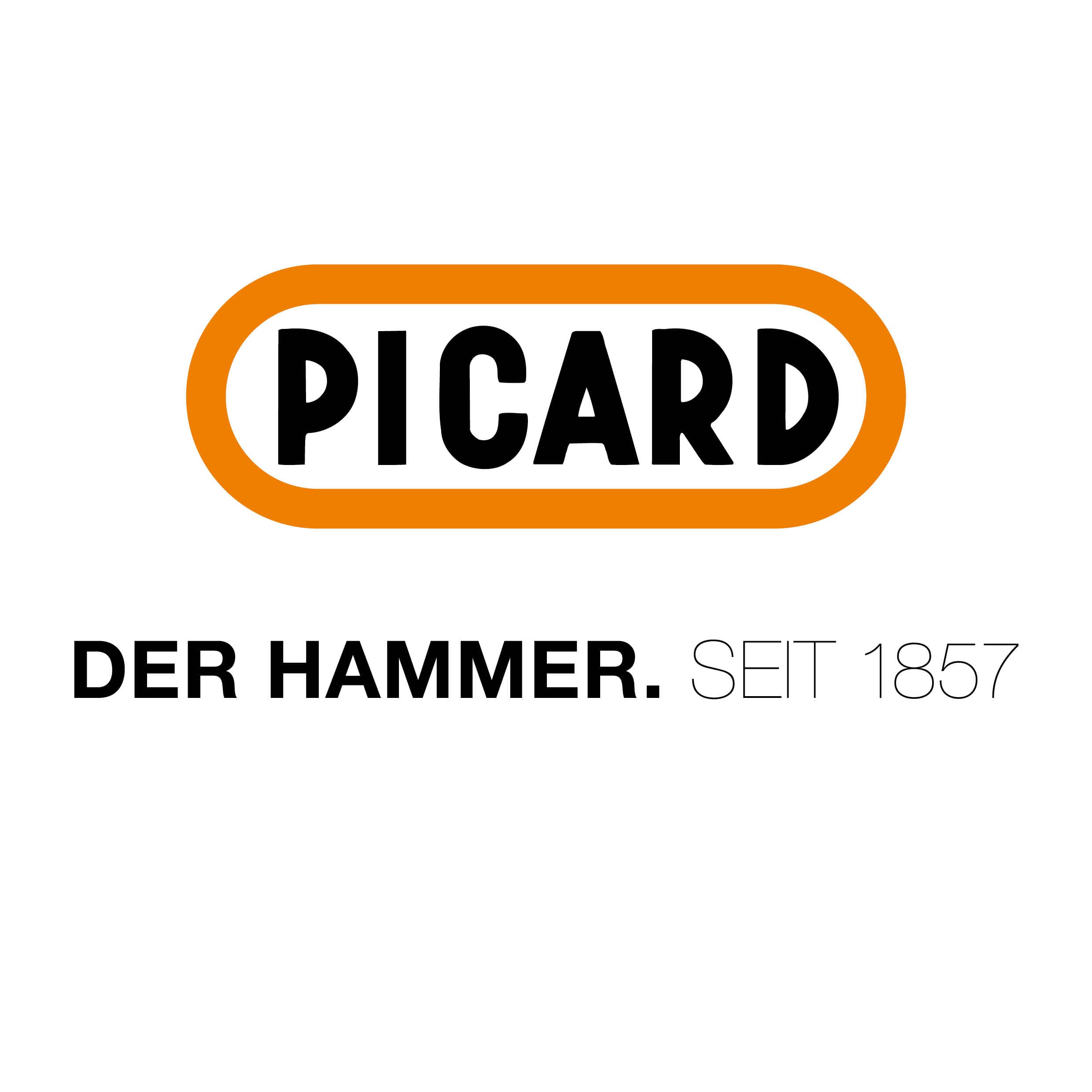Picard GmbH logo