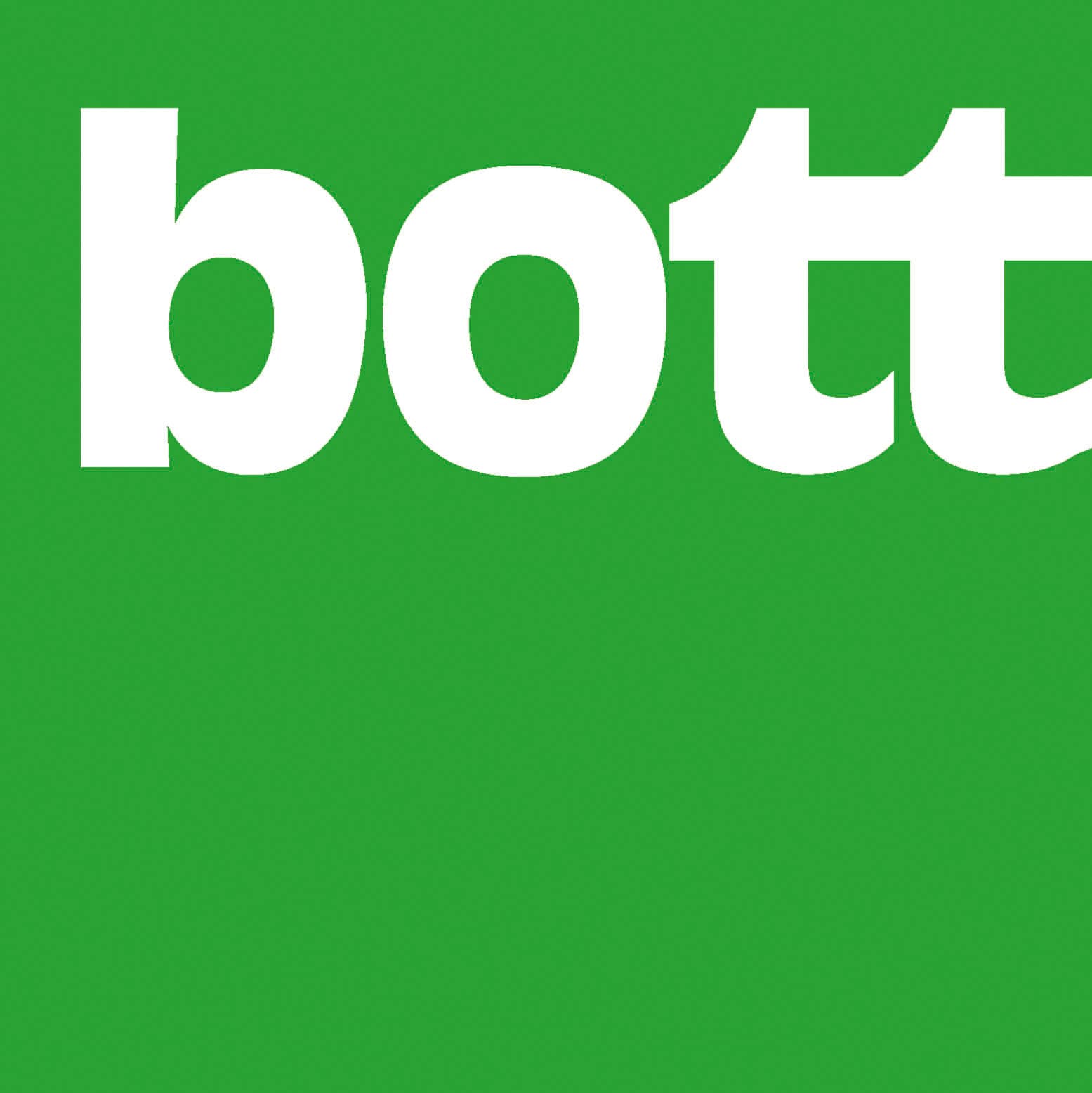 Bott GmbH & Co. KG logo
